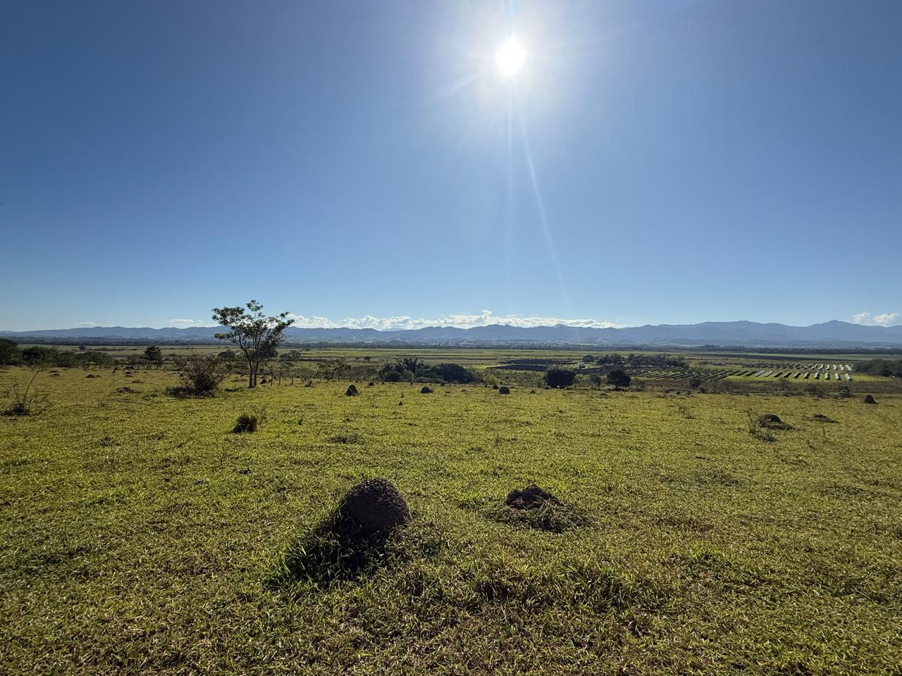 Campo aberto com sol e Serra da Mantiqueira ao fundo na Fazenda Marajoara — paisagem ampla em Caçapava, SP