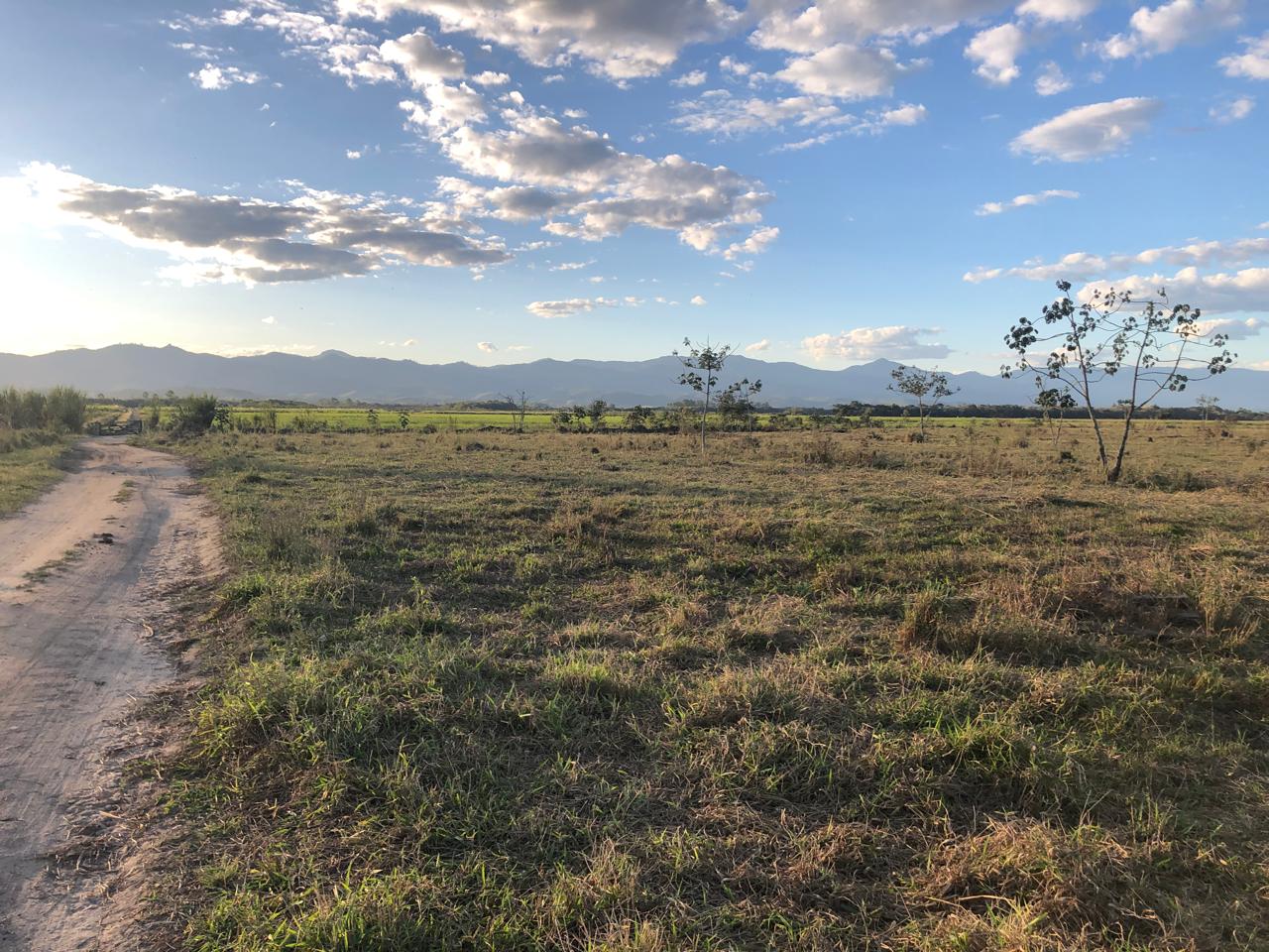 Entardecer na estrada de terra da Fazenda Marajoara — pasto e montanhas na luz dourada em Caçapava, SP