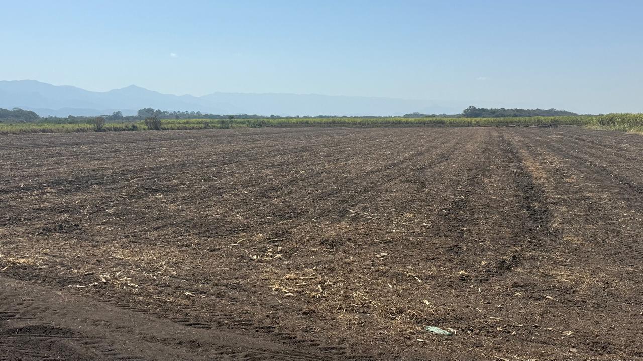 Terreno preparado na Fazenda Marajoara com a Serra da Mantiqueira ao fundo — Caçapava, Vale do Paraíba